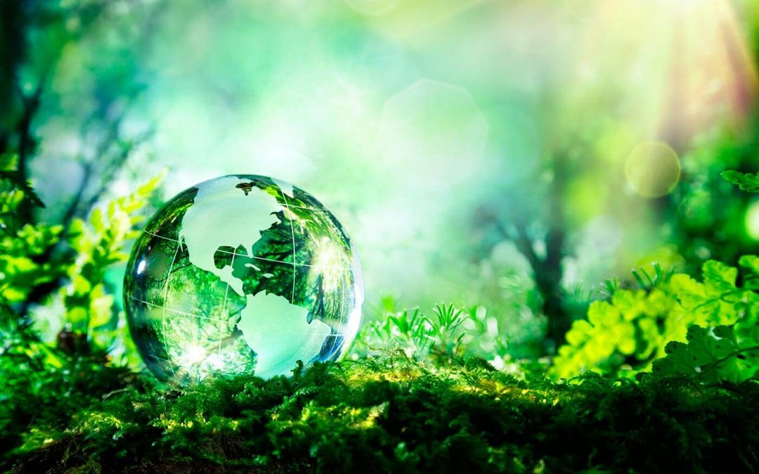 Formulario investigacion cientifica en diversidad biologica