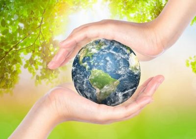 Aprovechamiento forestal para bosques nativos