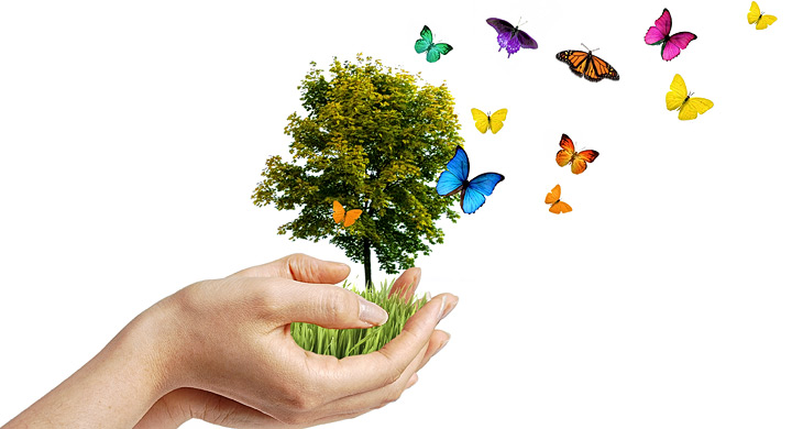 Manual de funcionamiento de generador de residuos y desechos peligrosos