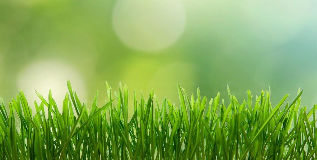 Manual de diligenciamiento del inventario del PCB