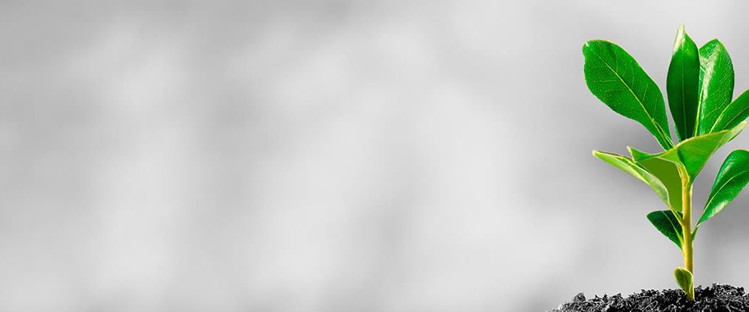 Formato de inscripción respel -rua