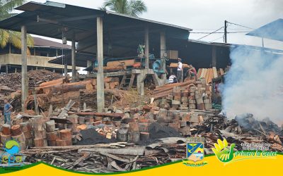 CON EL APOYO DEL ESTABLECIMIENTO PÚBLICO AMBIENTAL, FUNDESAC HIZO EL LANZAMIENTO DEL CURSO DE ACTUALIZACIÓN A LA INDUSTRÍA MADERERA DE BUENAVENTURA