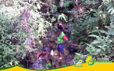 ESTABLECIMIENTO PÚBLICO AMBIENTAL DE BUENAVENTURA ATIENDE EMERGENCIA ECOLÓGICA POR DERRAME DE ACPM CERCA A CITRONELA