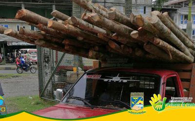 CUATRO METROS CÚBICOS DE MADERA TIPO CUANGARE, OTOBO Y CAIMITO FUERON PUESTO A DISPOSICIÓN DEL ESTABLECIMIENTO PÚBLICO AMBIENTAL