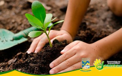ESTABLECIMIENTO PÚBLICO AMBIENTAL PREPARA LA CONMEMORACIÓN DEL DÍA DEL ÁRBOL