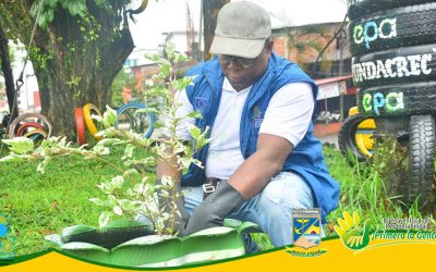 CON UNA EXITOSA JORNADA DE SIEMBRA EL ESTABLECIMIENTO PÚBLICO AMBIENTAL DE BUENAVENTURA CONMEMORÓ EL DÍA DEL ÁRBOL
