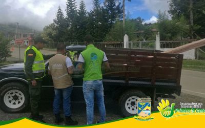 EPA Y DAGMA APOYAN A LA CVC EN OPERATIVO DE CONTROL A TRÁFICO DE FLORA Y FAUNA EN LA ANTIGUA VÍA AL MAR
