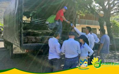 EN OPERATIVO DE CONTROL AL TRÁFICO DE FLORA Y FAUNA SILVESTRE LA CVC Y POLICÍA AMBIENTAL CON APOYO DEL EPA Y EL DAGMA INMOVILIZARON UN VEHÍCULO QUE TRANSPORTABA MANGLE