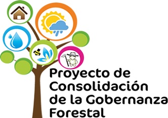Proyecto Consolidación de la Gobernanza Forestal Colombia