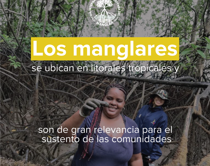 DÍA DEL MANGLAR