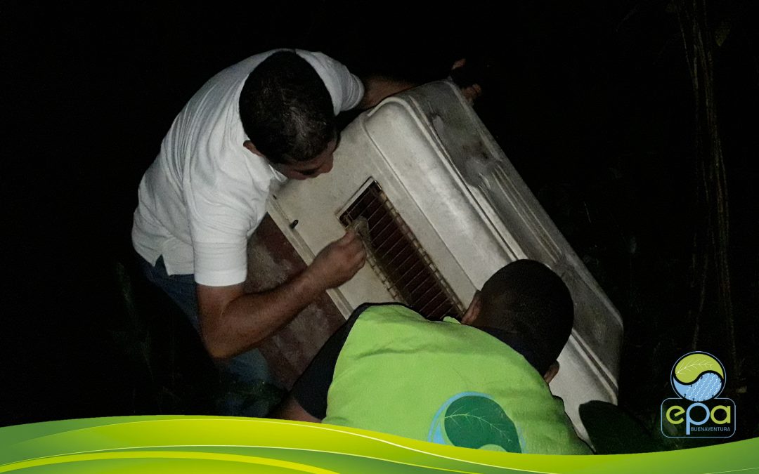 EPA REALIZA LIBERACIÓN DE OSO PEREZOSO EN SU ÁREA DE JURISDICCIÓN