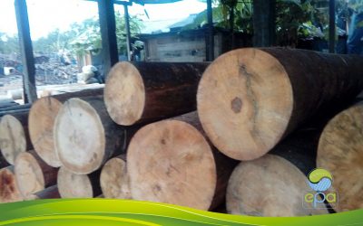 ESTABLECIMIENTO PÚBLICO AMBIENTAL ADELANTA VISITAS A EMPRESAS TRANSFORMADORAS Y COMERCIALIZADORAS DE PRODUCTOS FORESTALES