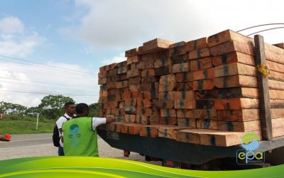 ESTABLECIMIENTO PÚBLICO AMBIENTAL REALIZA OPERATIVO CONTRA EL TRÁFICO DE MADERA ILEGAL