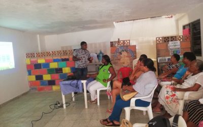 Capacitación en manejo adecuado y aprovechamiento de residuos sólidos. implementación de huertas urbanas