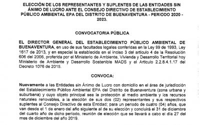 Convocatoria ESAL para Representantes