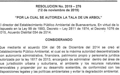Autorización tala de árbol