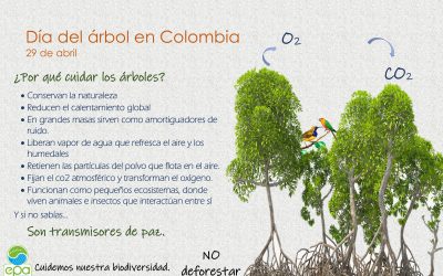 Día Del Árbol