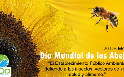 Día Mundial de las Abejas