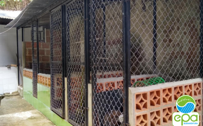 Hogar de paso para la fauna silvestre