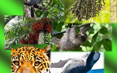 DÍA NACIONAL DE LA BIODIVERSIDAD