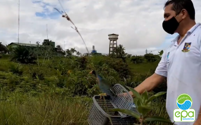 Liberación Especímenes en la Isla Naval