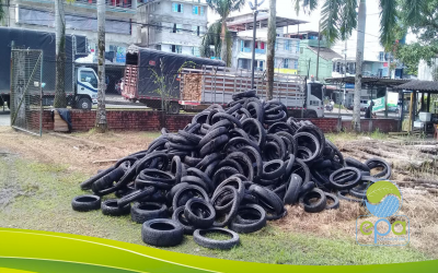 EPA y BMA inician recolección de llantas usadas y desechadas