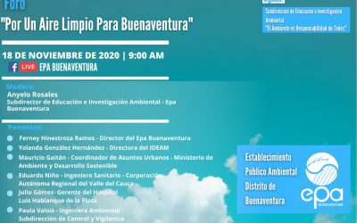 Día Internacional del Aire Limpio, por un Cielo Azul