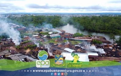 EPA trabaja en darle solución a la problemática que genera la producción de carbón vegetal.