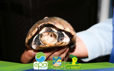 La protección de la fauna silvestre una prioridad