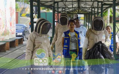 Controlado enjambre de abejas.