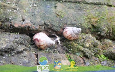 ¡ Atendiendo el llamado de la comunidad !