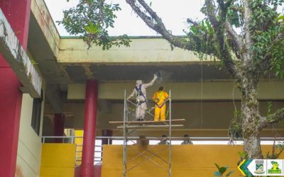 Establecimiento Público Ambiental traslada abejas de la UNIPACÍFICO a su ecosistema y garantiza el rol de los polinizadores en el Distrito