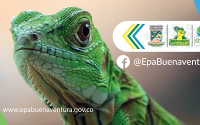 Con un alcance del 60% de ejecución el EPA Buenaventura rindió cuentas de la vigencia 2022