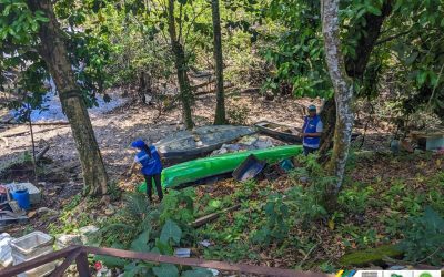 Comunidad y Autoridad Ambiental en Buenaventura unen esfuerzos para abordar la presencia de caimanes en el barrio El Jardín