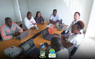 Situaciones Relacionadas Con Árboles En Riesgo Como Aquellos Cerca De Redes Eléctricas o Que Representan Peligro Para La Vida Humana.