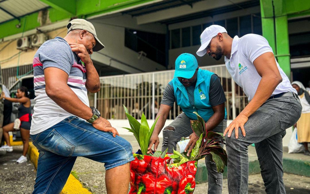 Semana Santa dejó alerta por tráfico de cangrejos azules en Buenaventura