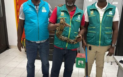 EPA Buenaventura emite llamado preventivo por presencia de serpientes en temporada de lluvias