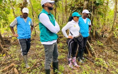 EPA Buenaventura lideró restauración de 20 hectáreas de manglar en la comunidad de Papagayo