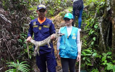 EPA Buenaventura atendió más de 120 animales silvestres y fortaleció respuesta comunitaria ante presencia de fauna en barrios del Distrito