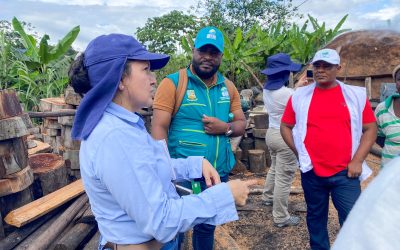 EPA fortalece control forestal con visitas a patios de carbón vegetal y operativos de movilización en Buenaventura