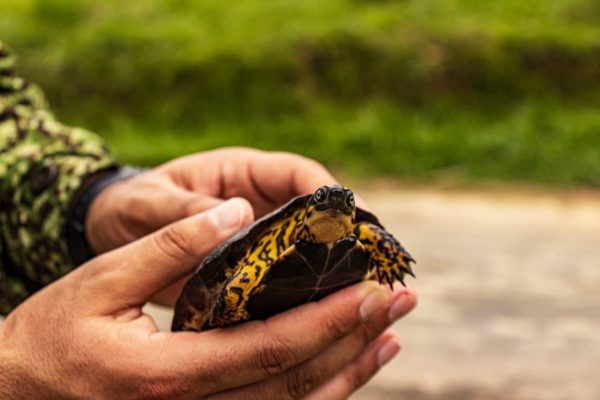 EPA Buenaventura reporta avances en rescate de fauna silvestre y fortalecimiento de negocios verdes en 2026