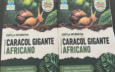 🐌🌿 ¡La comunidad del barrio Inmaculada se capacita para controlar el caracol gigante africano!